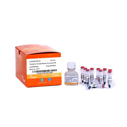 溶液试剂套装 - TransExo™ - TransGen Biotech Co. - 血清 / 蛋白酶 / 等离子