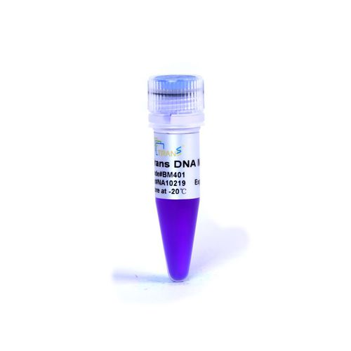 琼脂糖凝胶试剂 - Trans - TransGen Biotech Co. - 梯状DNA / 用于分子生物 / 核酸