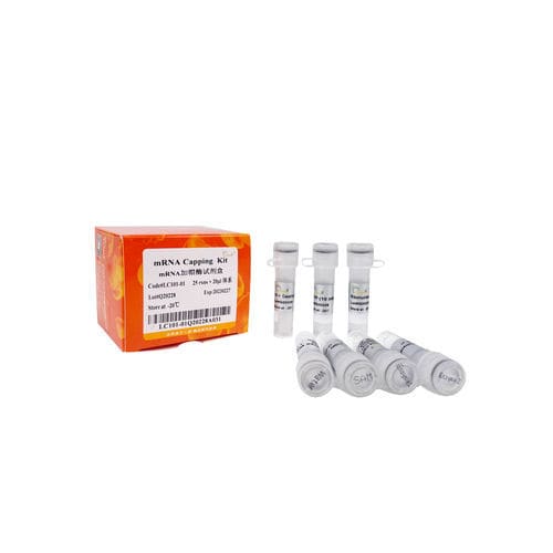 酶试剂套装 - LC101-0 series - TransGen Biotech Co. - 用于体外转录 / 用于病毒 / 酶