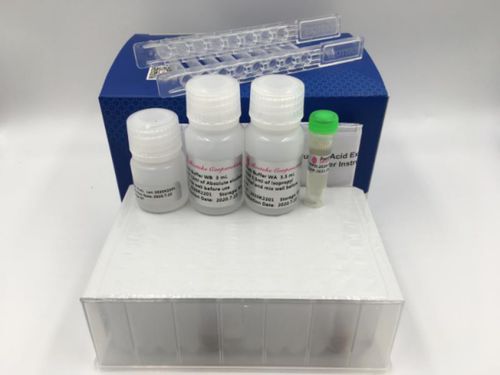 RNA提纯试剂套装 - RP250 series - Bioteke Corporation - 用于分子生物
