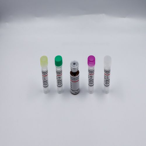 溶液试剂套装 - Bioteke Corporation - 用于研究 / PCR / 核酸