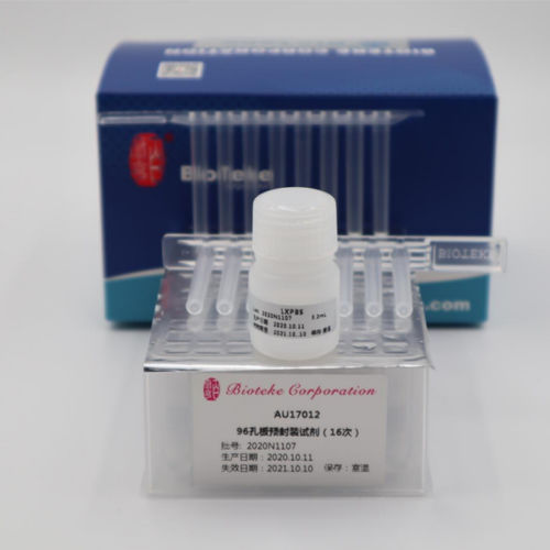 缓冲溶液试剂套装 - AU17012 - Bioteke Corporation - 溶液 / RNA 提纯 / 用于分子生物