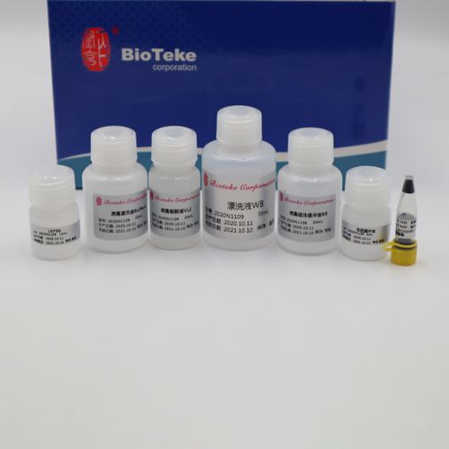 Taq-DNA聚合酶试剂套装 - AU17012 - Bioteke Corporation - PCR / 核酸