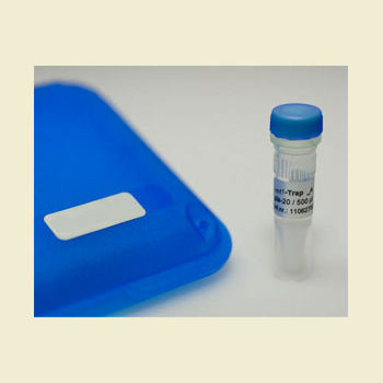 抗体试剂 - RFP-Trap A - Bulldog Bio, Inc. - 细胞成像 / 生物化学 / 蛋白质