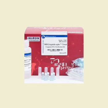 溶液试剂套装 - MEGAquick-spin plus - Bulldog Bio, Inc. - 洗涤缓冲液 / 琼脂糖凝胶 / PCR