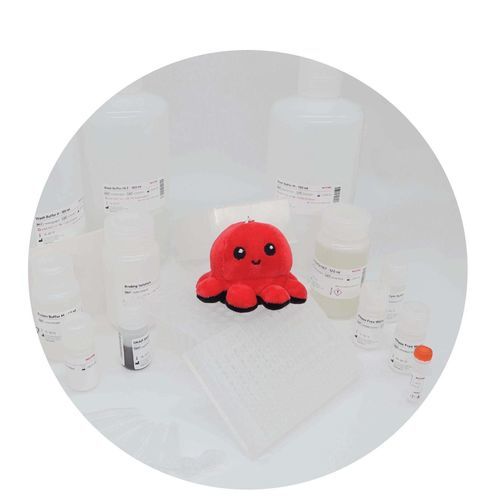 溶液试剂套装 - InviMag&reg; Universal Kit/ KF96 - Invitek Diagnostics - DNA提取 / RNA提取 / 诊断