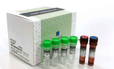 诊断试剂套装 - U-TOP™ MSI - SEASUN BIOMATERIALS INC. - 用于实时PCR