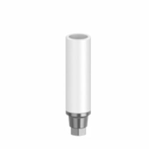 塑料种植体基台 - Bio-P series - Biotec Dental Implant Development GmbH - 锥形 / 内六角形 / 直线型