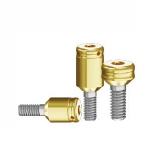 钛种植体基台 - Bio-PCA series - Biotec Dental Implant Development GmbH - 不锈钢 / 内部 / 直线型
