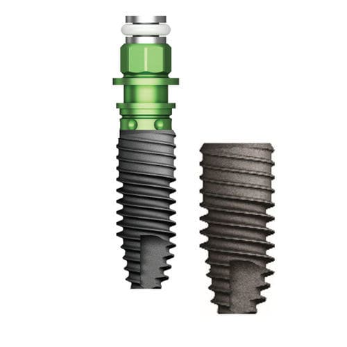 圆柱形牙齿植入物 - TSII SA  - Osstem Implant France - 钛 / 内六角形 / 直线型