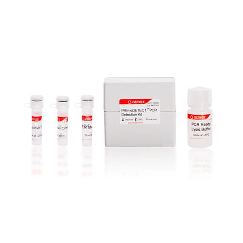 提取DNA快速诊断套装 - PRImeDETECT™ - Canvax - 单核细胞增生李斯特氏菌 / 用于实时PCR