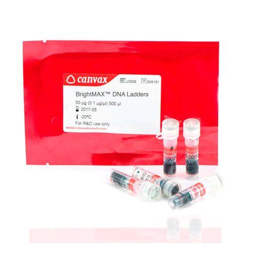 梯状DNA试剂套装 - BrightMAX™  - Canvax - 琼脂糖凝胶 / 用于研究 / 电泳