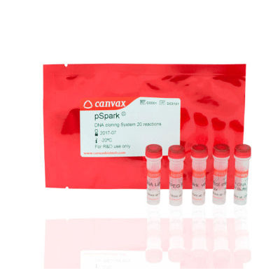 DNA连接酶试剂套装 - pSpark® III - Canvax - 氨苄西林 / PCR