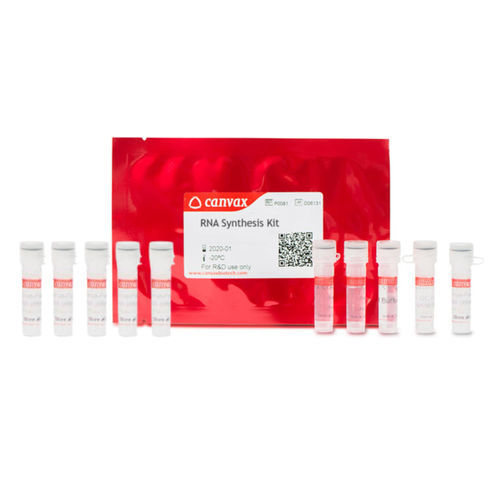 酶试剂套装 - CVX™ - Canvax - 核糖核酸酶抑制剂 / 用于研究 / 用于药品研发