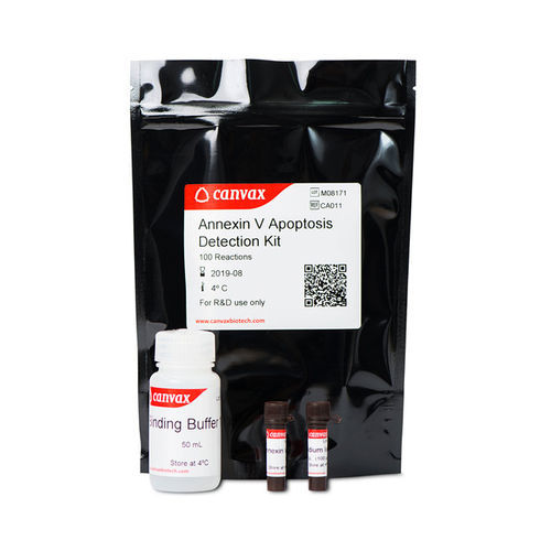 研究快速诊断套装 - Annexin V - Canvax - 细胞凋亡 / 等离子 / 细胞