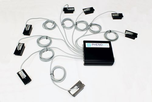 兽用RFID 芯片 - IDspyder - PhenoSys - 手提式