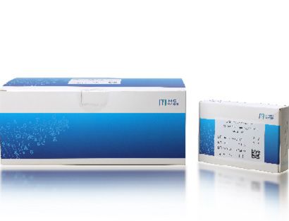抗体试剂 - CoolMPS - MGI Tech - DNA聚合酶 / 用于研究 / 铅