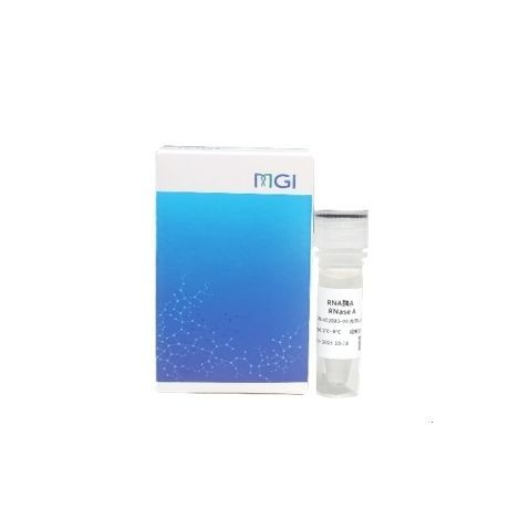 酶试剂 - 940-001646-00 - MGI Tech - 核酸 / 核糖核酸酶抑制剂 / 蛋白质