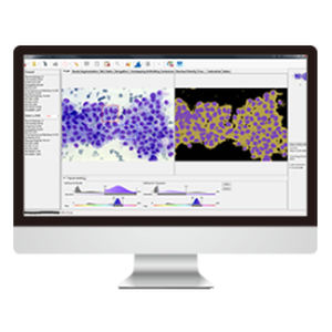 细胞成像软件 - AmCAD-CA  - AmCad BioMed - 分析 / 诊断 / 采集