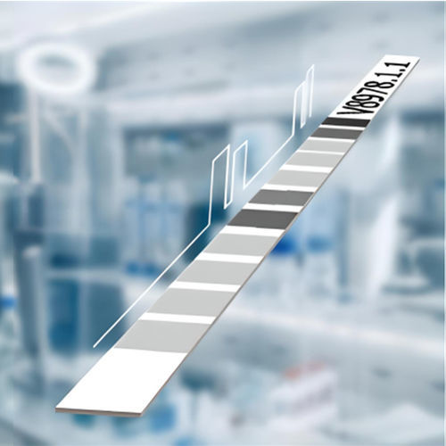 胃肠疾病快速诊断套装 - BiermAK LINE - MEDIPAN GmbH - IgG免疫球蛋白G / 血清 / 发光免疫测定
