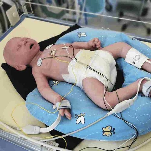 呼吸窘迫综合征模拟器 - LuSi - neosim AG - 评估 / 一般护理 / 气胸