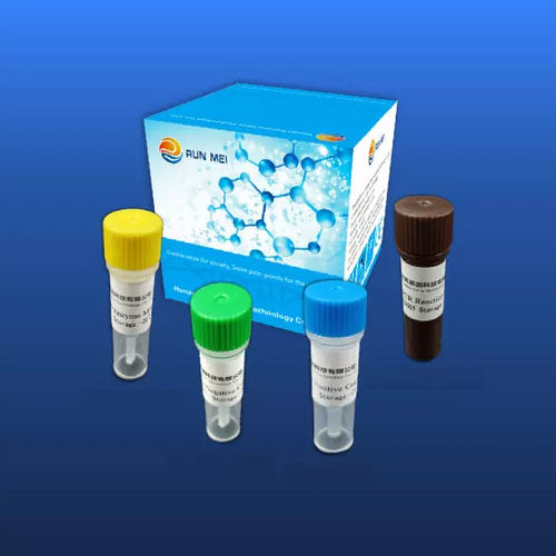 COVID-19新冠病毒快速诊断套装 - HUNAN RUNMEI GENE TECHNOLOGY CO.,LTD - 冠状病毒 / RT-PCR