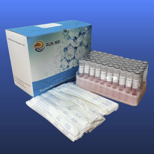 实验室试管 - 3822009000 - HUNAN RUNMEI GENE TECHNOLOGY CO.,LTD - 平底 / 鼻咽 / 鼻部