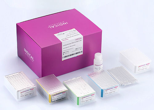 兽医实验室试剂套装 - IndiMag Pathogen KF96 Cartridge - INDICAL BIOSCIENCE GmbH - 基于磁珠 / 核酸 / DNA提取