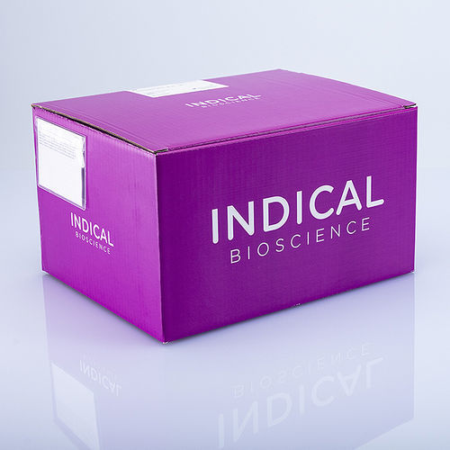 兽用快速诊断套装 - IndiMag Mastitis Kit - INDICAL BIOSCIENCE GmbH - 乳腺炎 / 用于提取DNA / 用于纯化DNA
