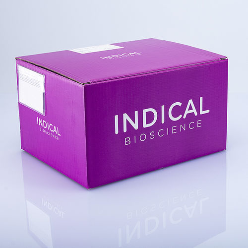 兽用快速诊断套装 - BioSprint 96 One-For-All Vet Kit - INDICAL BIOSCIENCE GmbH - 传染病 / 用于纯化DNA / 动物