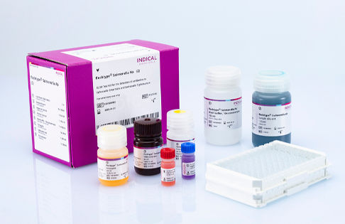 兽用快速诊断套装 - flocktype Salmonella Ab - INDICAL BIOSCIENCE GmbH - 禽类 / 细菌 / 沙门氏菌