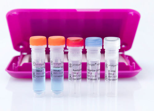 兽用快速诊断套装 - virotype ASFV 2.0 PCR Kit - INDICAL BIOSCIENCE GmbH - 传染病 / 猪用 / 用于DNA