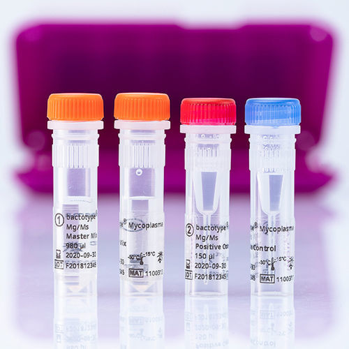 兽用快速诊断套装 - bactotype Mycoplasma Mg/Ms PCR Kit - INDICAL BIOSCIENCE GmbH - 用于提取DNA / 禽类 / 支原体