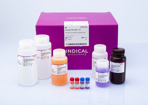 兽用快速诊断套装 - cattletype BHV1 gB Ab - INDICAL BIOSCIENCE GmbH - 牛 / TMB / 血清