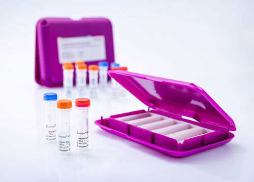 兽用快速诊断套装 - virotype BVDV 2.0 RT-PCR Kit - INDICAL BIOSCIENCE GmbH - 牛病毒性腹泻 / 动物 / 用于病毒