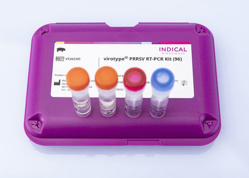 兽用快速诊断套装 - virotype PRRSV RT-PCR Kit - INDICAL BIOSCIENCE GmbH - 呼吸道疾病 / 猪用 / 呼吸道融合病毒