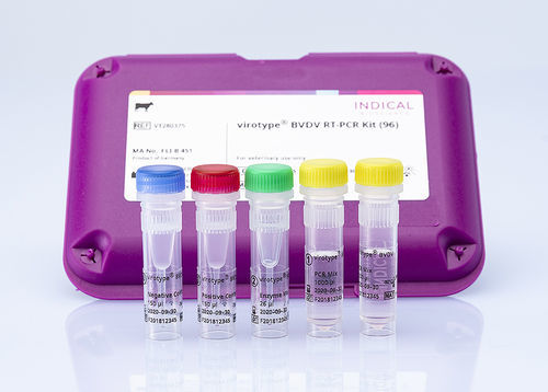 兽用快速诊断套装 - virotype BVDV RT-PCR Kit - INDICAL BIOSCIENCE GmbH - 牛病毒性腹泻 / 牛 / 血液