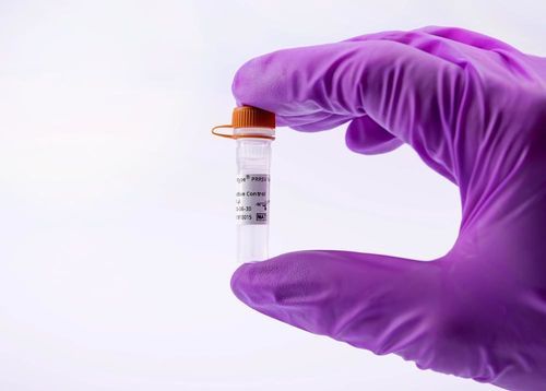 兽医实验室试剂 - virotype PRRSV PRO Positive Control - INDICAL BIOSCIENCE GmbH - 标准品 / 用于研究 / qPCR