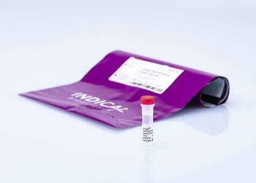 兽医实验室试剂 - virotype PEDV/TGEV/PDCoV Positive Control - INDICAL BIOSCIENCE GmbH - 溶液 / 用于研究 / RNA提取