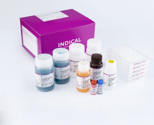 兽用快速诊断套装 - flocktype NDV Ab - INDICAL BIOSCIENCE GmbH - 新城疫 / 禽类 / TMB
