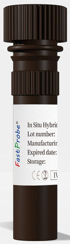 染色液试剂 -  CL-004 - Wuhan HealthCare Biotechnology Co., Ltd. - 用于组织学 / 杂交 / 用于细胞培养