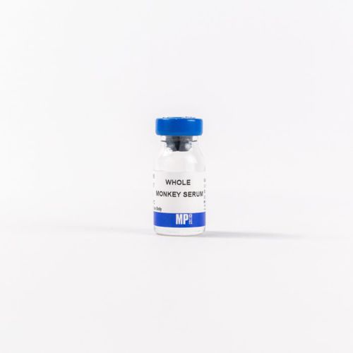 血清试剂 - 0855988 - MP Biomedicals - 用于研究 / 兽医实验室 / 诊断