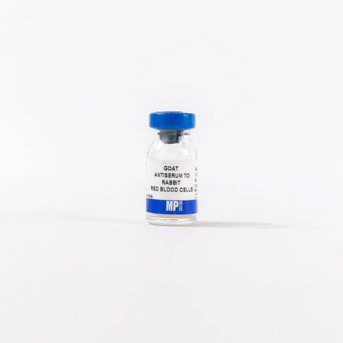 抗血清试剂 - 0855616 - MP Biomedicals - 用于研究 / 诊断 / 组织