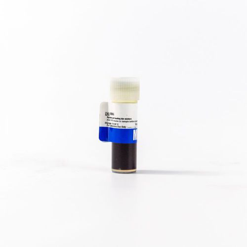 琼脂糖凝胶试剂 - 112327204 - MP Biomedicals - 加载缓冲区 / 用于研究 / 电泳