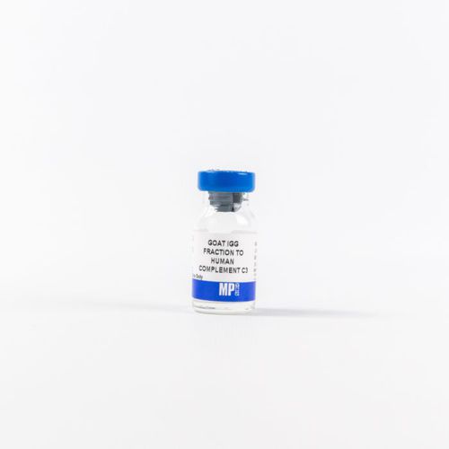 蛋白质试剂 - 0855033 - MP Biomedicals - 单克隆抗体 / 用于研究 / 冻干