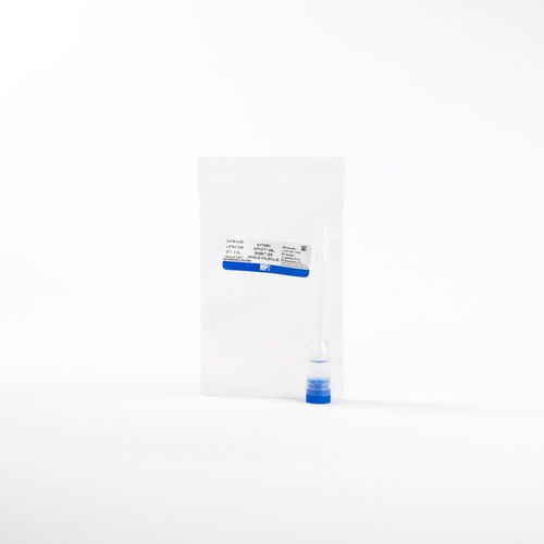 IgG免疫球蛋白G试剂 - 0855961 - MP Biomedicals - 抗体 / 抗原 / 抗血清