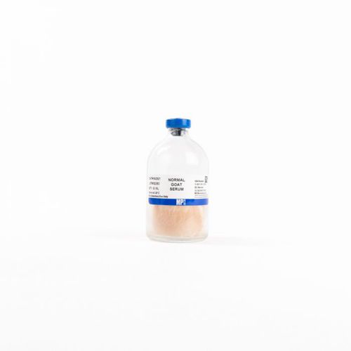 血清试剂 - 08642921 - MP Biomedicals - 抗体 / 山羊血清 / 牛血清白蛋白