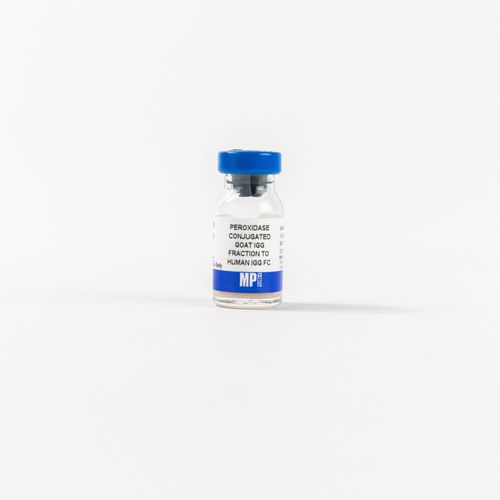 IgG免疫球蛋白G试剂 - 0855226 - MP Biomedicals - 酶 / 抗体 / 用于研究