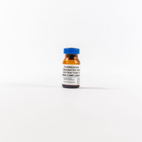 IgG免疫球蛋白G试剂 - 0855167 - MP Biomedicals - 抗体 / 酶联免疫吸附试验 / 组织