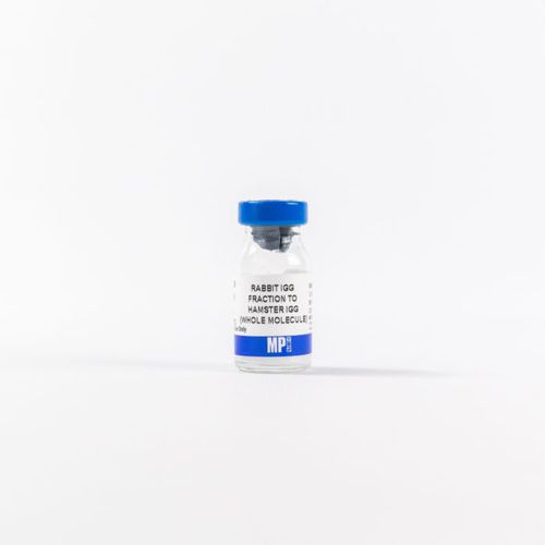 蛋白质试剂 - 0855398 - MP Biomedicals - 酶 / 抗体 / 用于研究